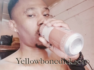 Yellowbonedick2010