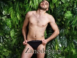 Zanedeyum