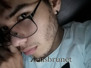 Zeusbrunet