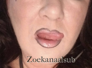 Zoekanaalsub